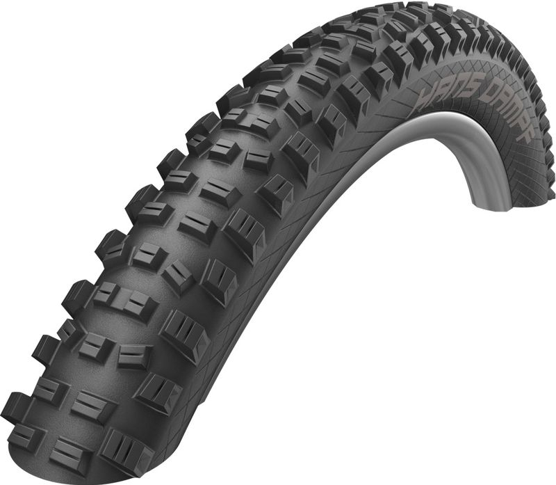 SCHWALBE Vouwband hans dampf performance 29 x 2.35" / 60-622 mm - zwart